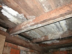 Danger of dry-rot under a home