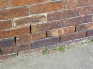 Damage to brick wall from salts in soil