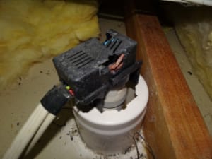 Electrical fitting damage from vermin