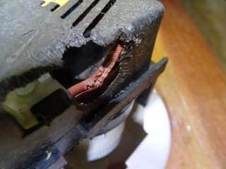 Vermin damage to electrical fittings