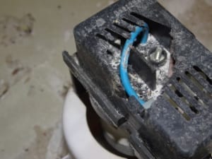 Vermin damage to electrical fittings 