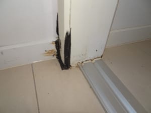 Rising-damp and seepage to an apartment unit
