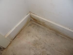 Rising-damp & seepage to apartment unit