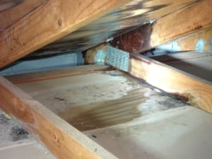 Leak from roof causing damage 