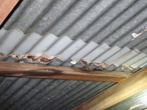 Rusted roof