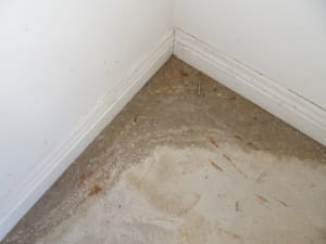 Slab rising damp defect in a garage