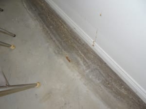 Rising damp defect to a garage slab 